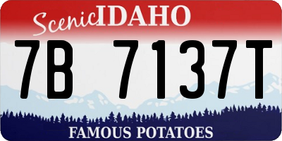 ID license plate 7B7137T