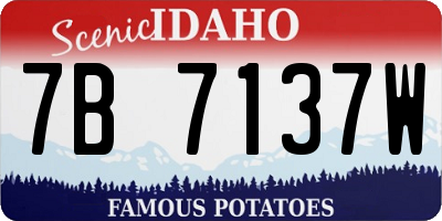 ID license plate 7B7137W