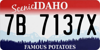 ID license plate 7B7137X