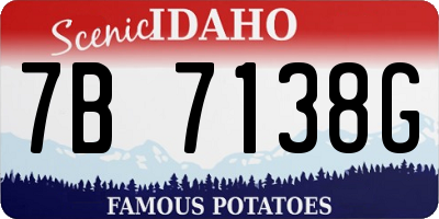 ID license plate 7B7138G