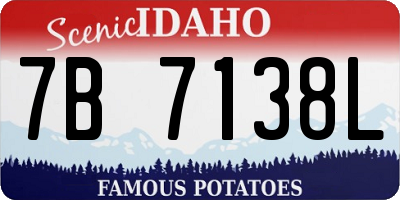 ID license plate 7B7138L