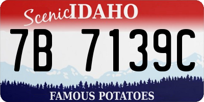 ID license plate 7B7139C