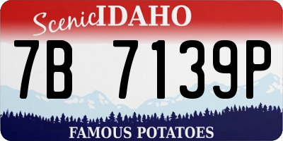 ID license plate 7B7139P