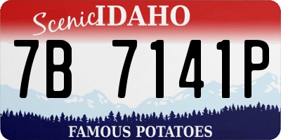 ID license plate 7B7141P