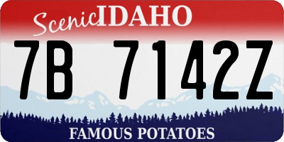 ID license plate 7B7142Z