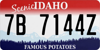 ID license plate 7B7144Z