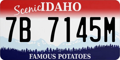 ID license plate 7B7145M