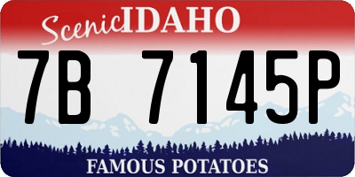 ID license plate 7B7145P