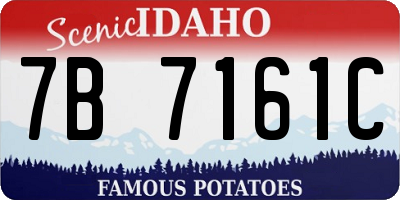 ID license plate 7B7161C