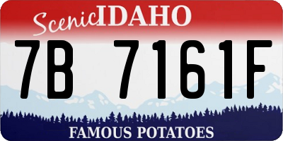 ID license plate 7B7161F