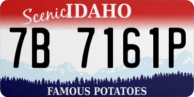 ID license plate 7B7161P