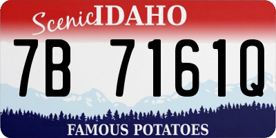 ID license plate 7B7161Q