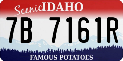 ID license plate 7B7161R