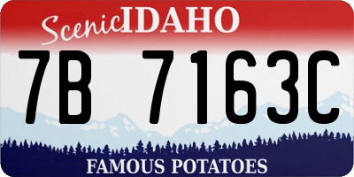 ID license plate 7B7163C