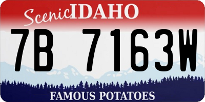 ID license plate 7B7163W
