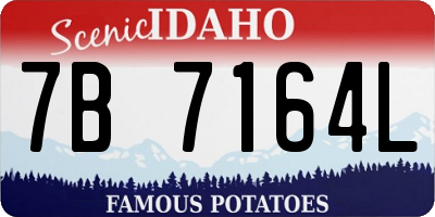 ID license plate 7B7164L