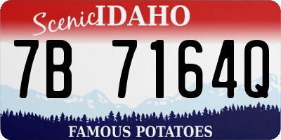 ID license plate 7B7164Q
