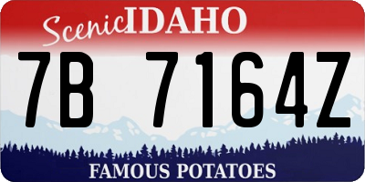 ID license plate 7B7164Z