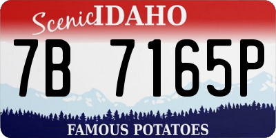 ID license plate 7B7165P