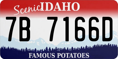 ID license plate 7B7166D