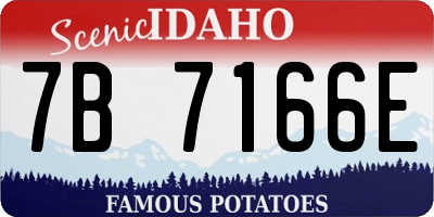 ID license plate 7B7166E