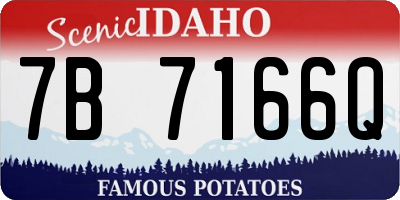 ID license plate 7B7166Q