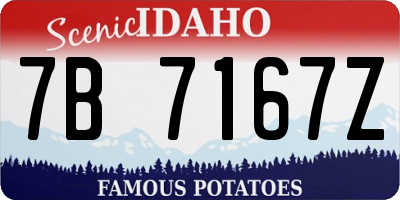 ID license plate 7B7167Z