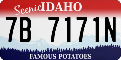 ID license plate 7B7171N