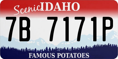 ID license plate 7B7171P