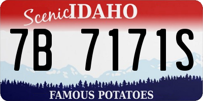 ID license plate 7B7171S