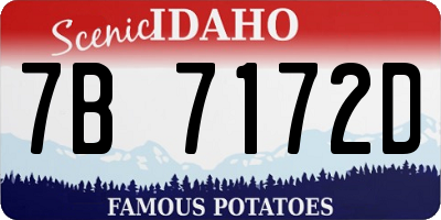 ID license plate 7B7172D