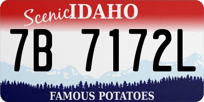 ID license plate 7B7172L