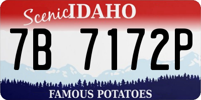 ID license plate 7B7172P
