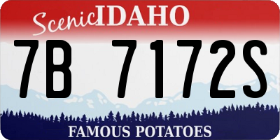 ID license plate 7B7172S
