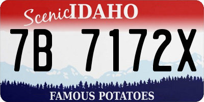 ID license plate 7B7172X