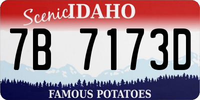 ID license plate 7B7173D