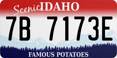 ID license plate 7B7173E