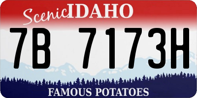 ID license plate 7B7173H