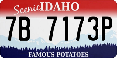 ID license plate 7B7173P