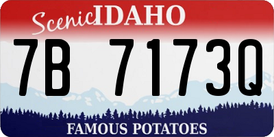ID license plate 7B7173Q