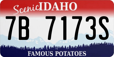 ID license plate 7B7173S