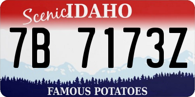 ID license plate 7B7173Z