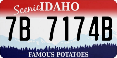 ID license plate 7B7174B