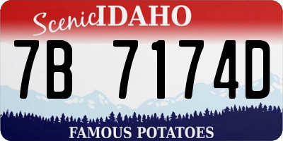 ID license plate 7B7174D
