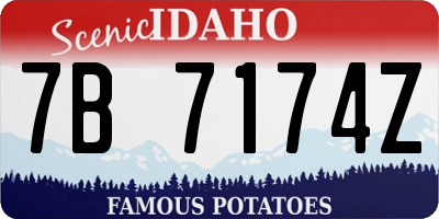 ID license plate 7B7174Z