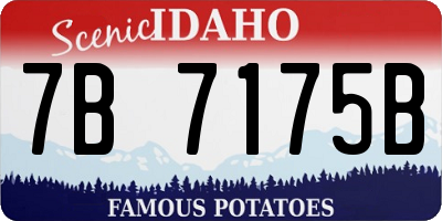 ID license plate 7B7175B