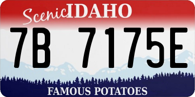 ID license plate 7B7175E