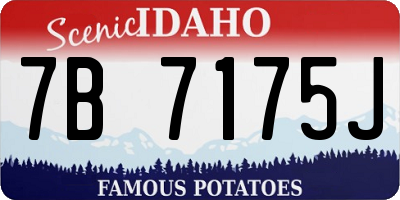 ID license plate 7B7175J