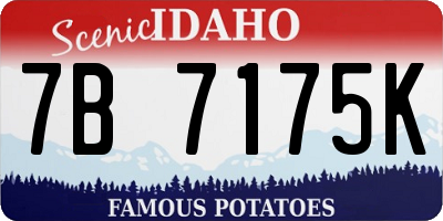 ID license plate 7B7175K