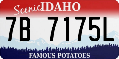 ID license plate 7B7175L